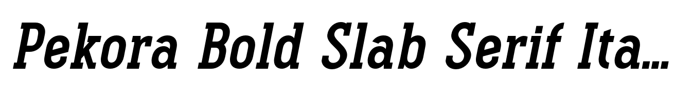 Pekora Bold Slab Serif Italic